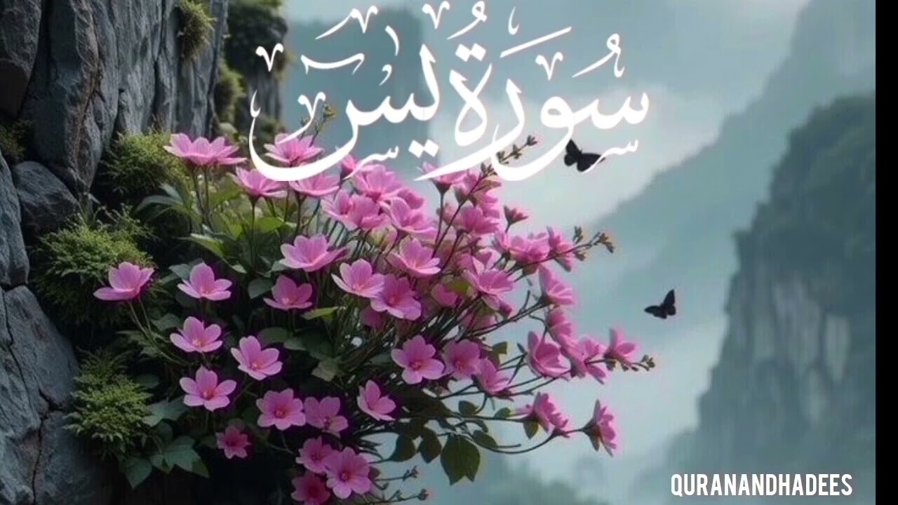Surah Yaseen Full | Quran Ka Dil | Dil Ko Sukoon Dene Wali | EP-181