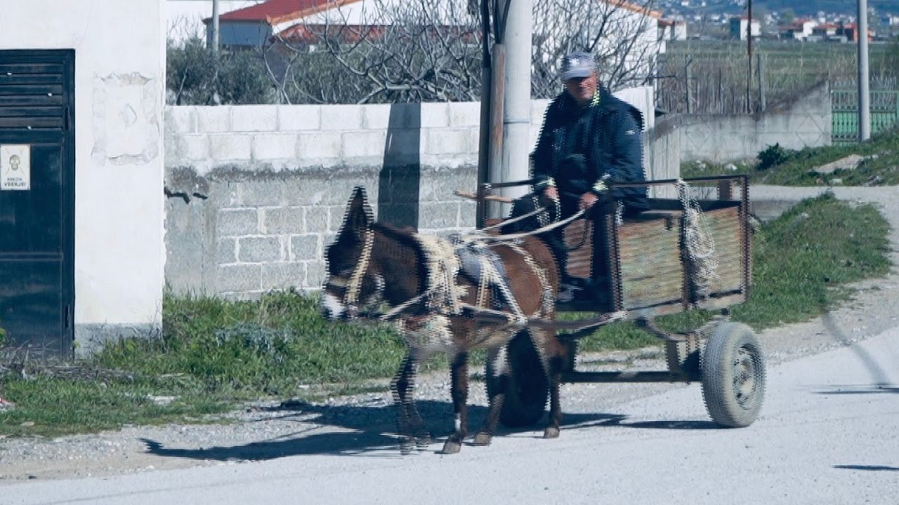 “Po na vdes politika”, dhimbje në fshatin shqiptar - Shqipëria Tjetër