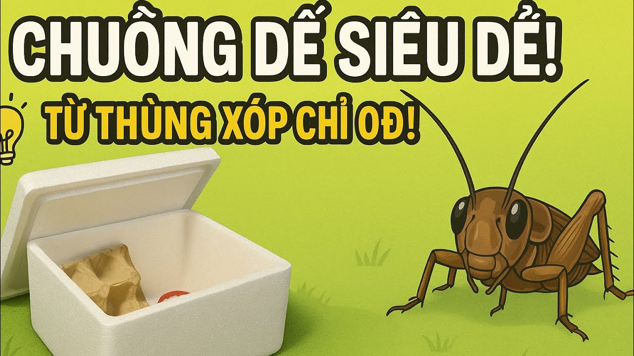 Hướng dẫn tạo chuồng nuôi Siêu đơn giản cho Dế - Làm thức ăn cho chim/ Làm kinh tế