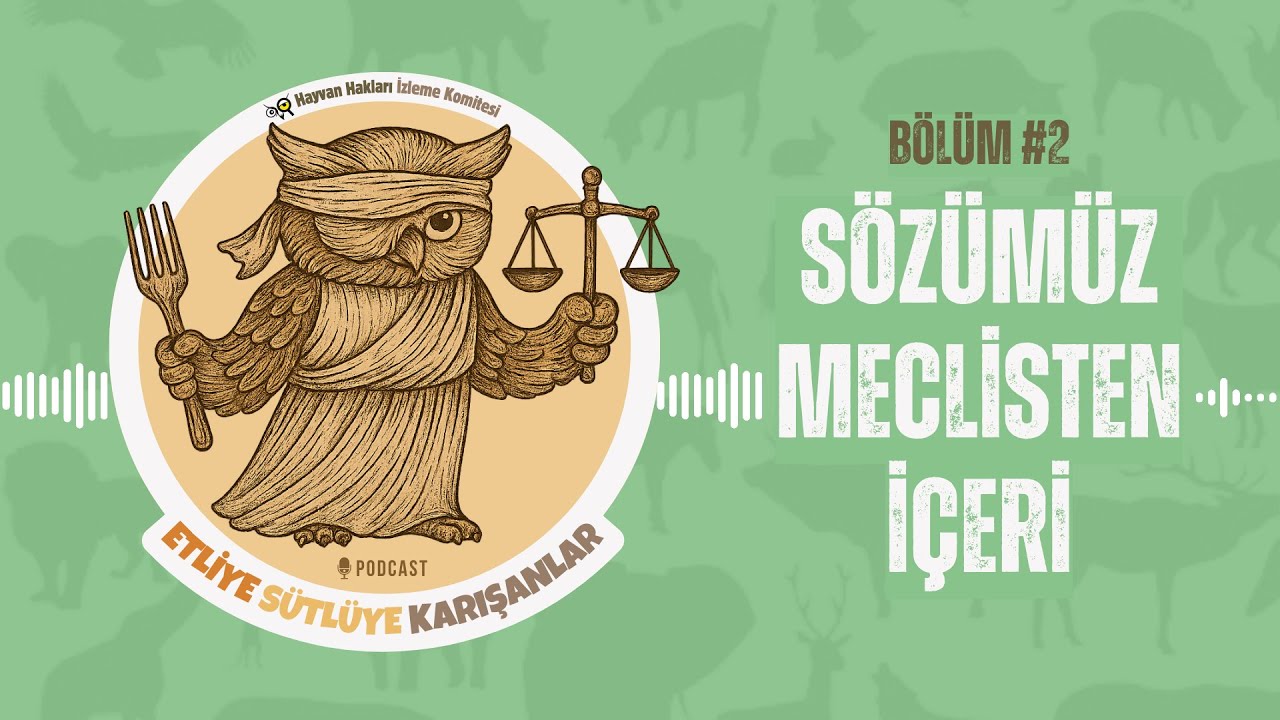 Sözümüz Meclisten İçeri (Konuk: Av. Tuğba Gürsoy) - Bölüm 2