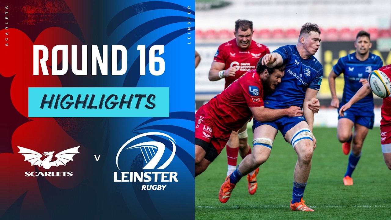Scarlets vs Leinster | Highlights | Round 16 | URC 2024/25