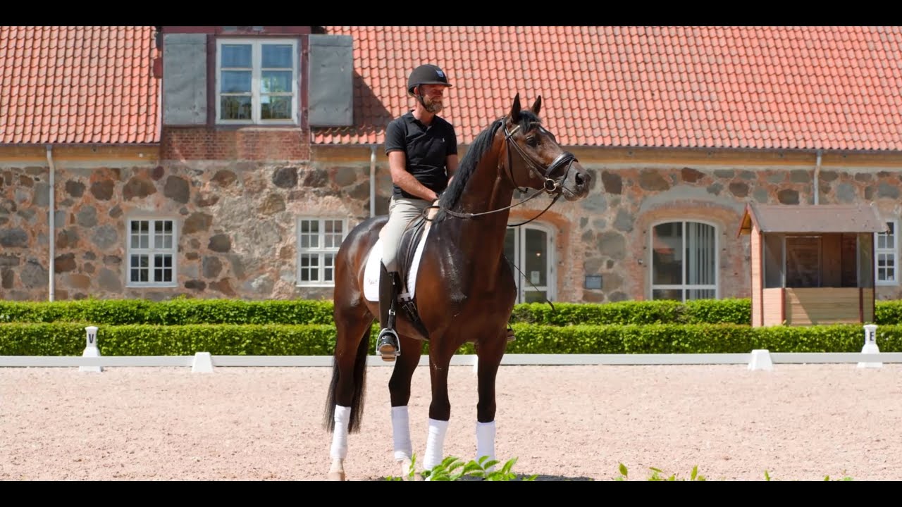 Benchmark 1437 - Stallion SWB | OLD