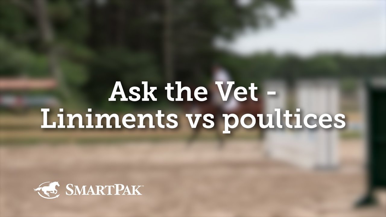 Ask the Vet - Liniments vs poultices