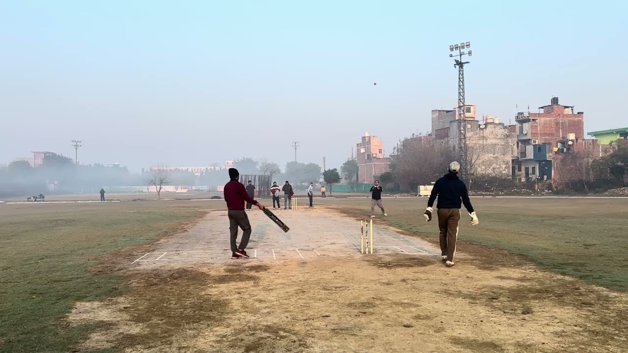 Great match fighter Lions batting inning #cricket #epic #won