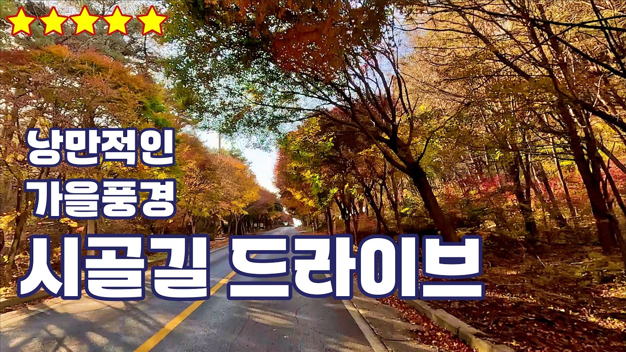 시골길 드라이브 단풍 의림지 피재 명암 베론 팔송 구곡 마곡 국사봉 제천 비룡담 드론 잠깐쉼 4K BGM