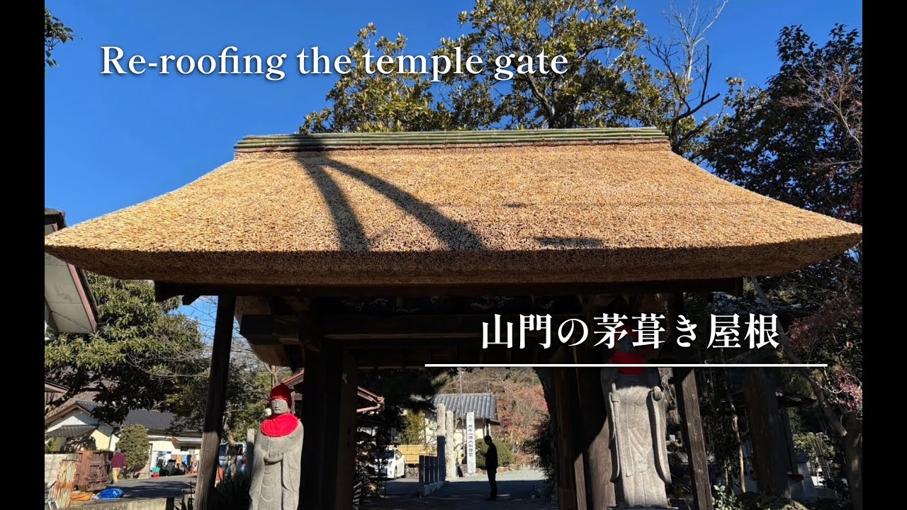 【群馬】観音寺山門の茅葺き屋根　Re-roofing the temple gate
