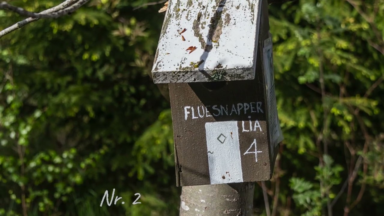 Fuglekassestien (The bird box trail) 2024