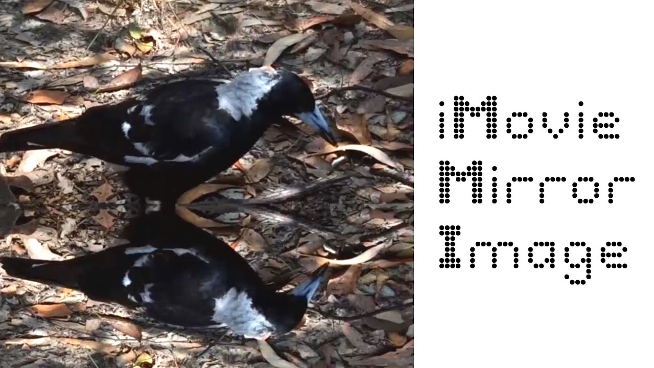 iMovie: How To Mirror Image / Flip Video! | Easy Tutorial