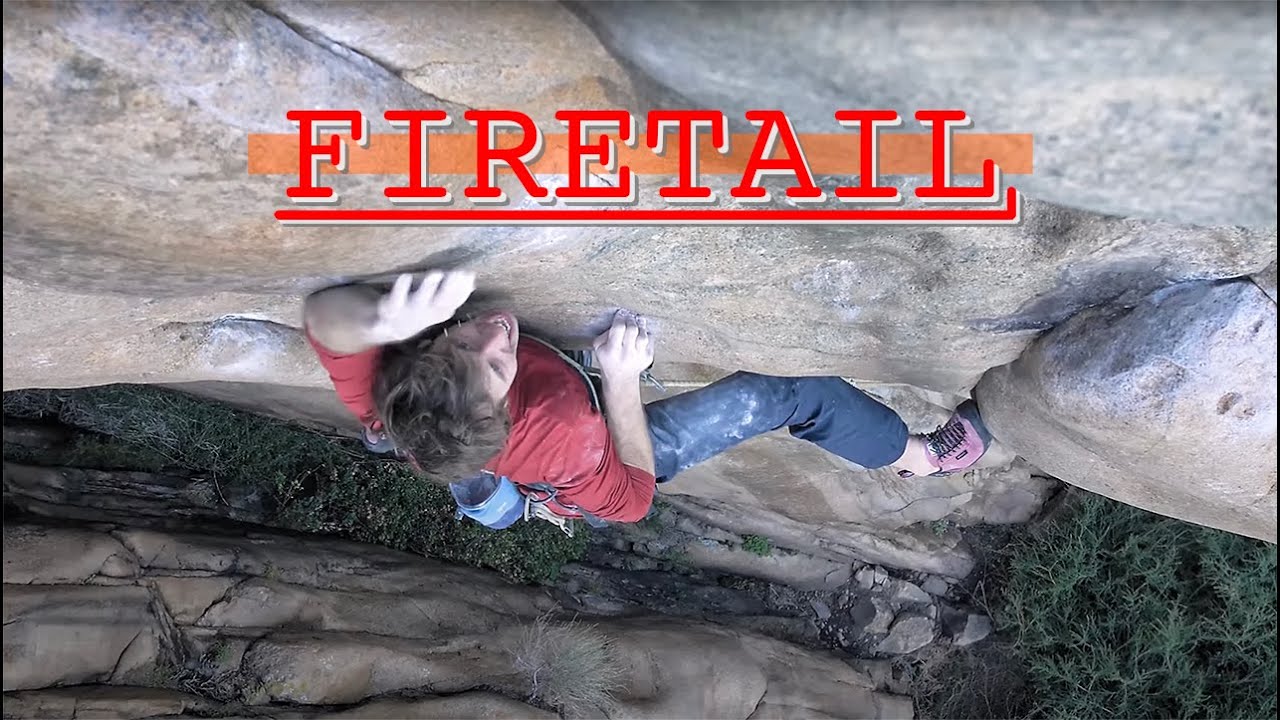 Firetail