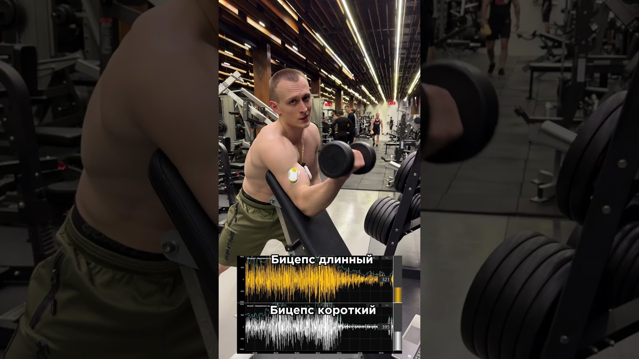 Качай бицепс грамотно💪🏼За персональным планом обращаться в телеграмм:@TrainerSmirnoVV 🤝