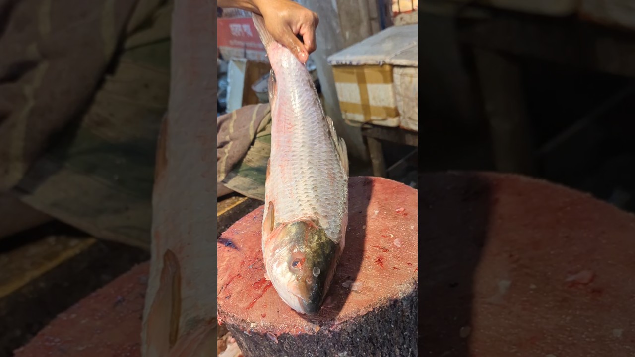 Amazing Big Mrigal Fish Cutting Skills Live In BD Fish#15Market