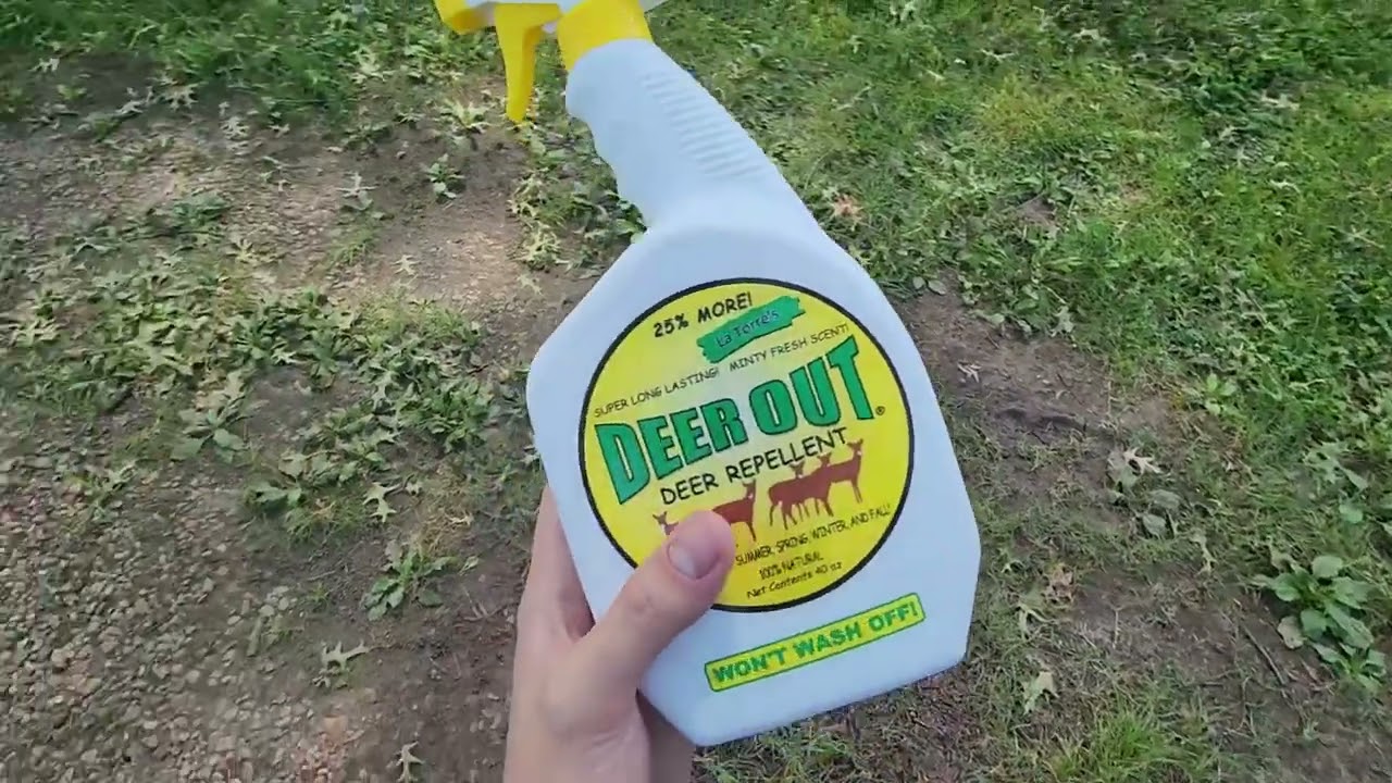 Deer Out 40oz Ready to Use Deer Repellent Review