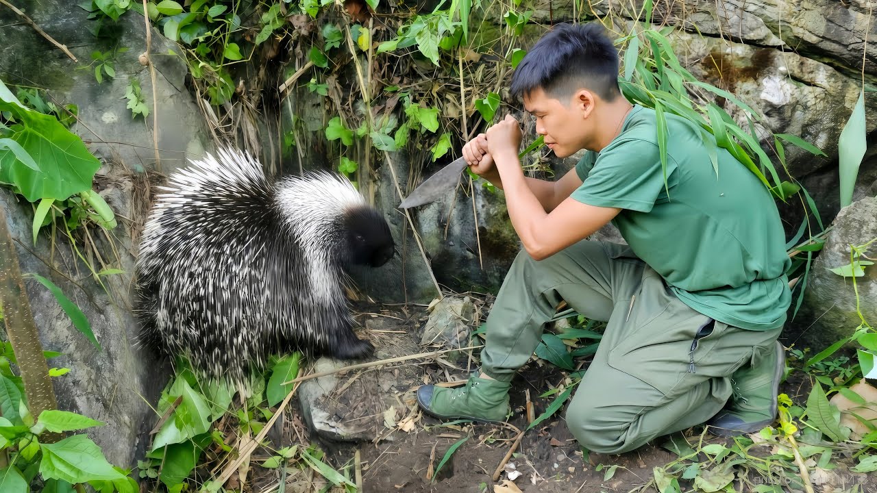 Footprints left by wild animals when searching for food, Set emergency traps