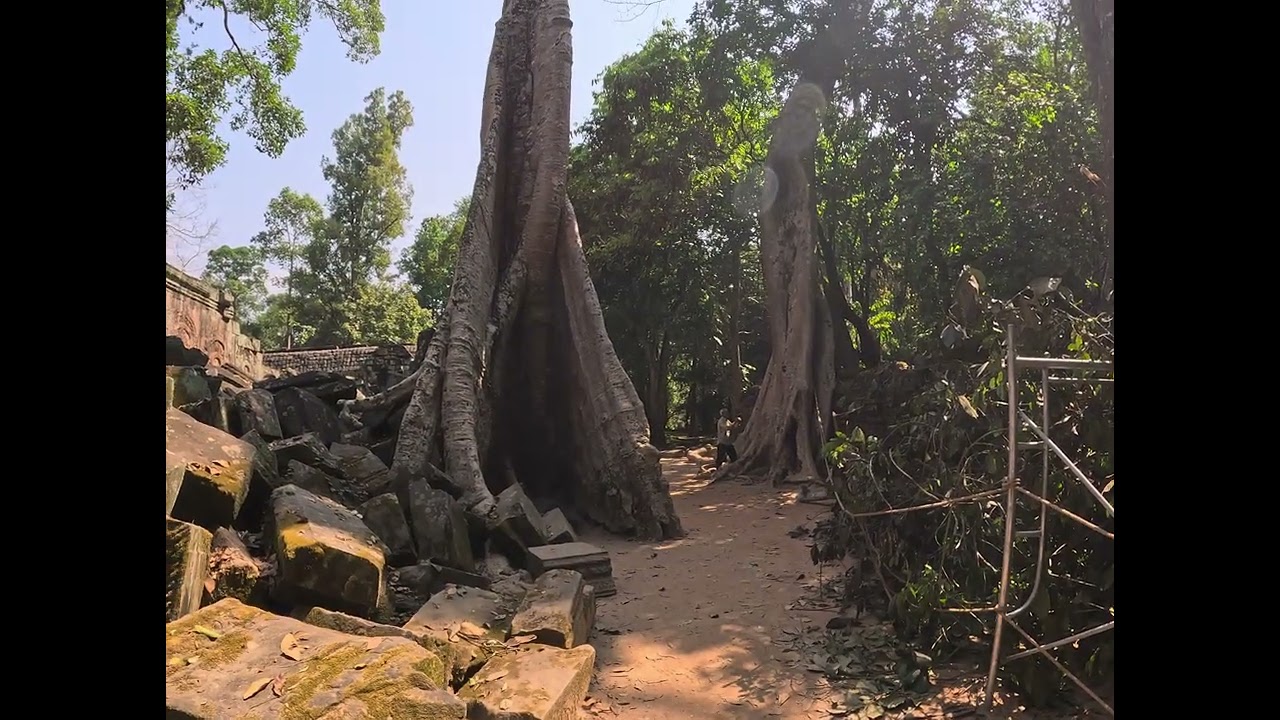 Finally, the Tomb Raider Temple !!  #taprohmtemple #siemreap #cambodia