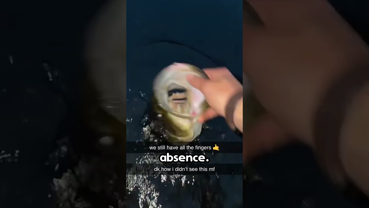 Выпуск рыбы неожиданно заканчивается 😂