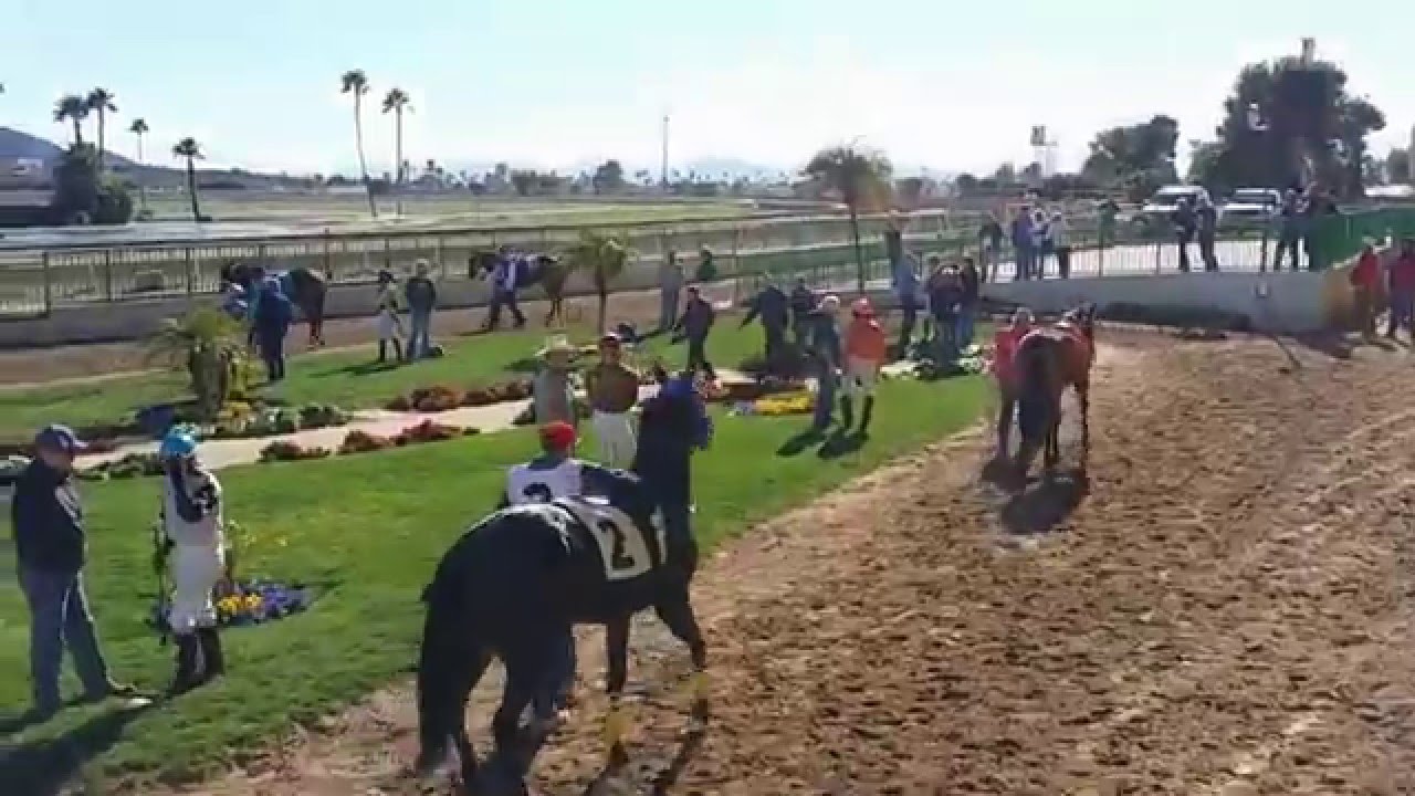 Turf Paradise Race Course and Horse Racing (Phoenix, Arizona)