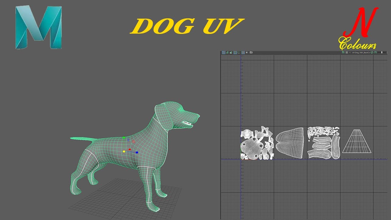 Maya Tutorial : How to UV mapping Dog  || Step by Step ||