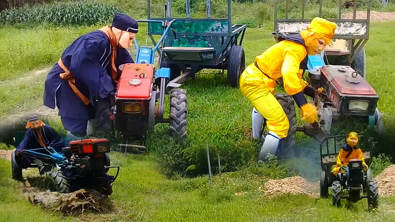 Trư Bát Giới Chơi Lớn Với Tôn Ngộ Không, Chưa Biết Ai Ăn Ai Xem Sẽ Biết/ TRUYỀN KỲ TÂY DU KÝ