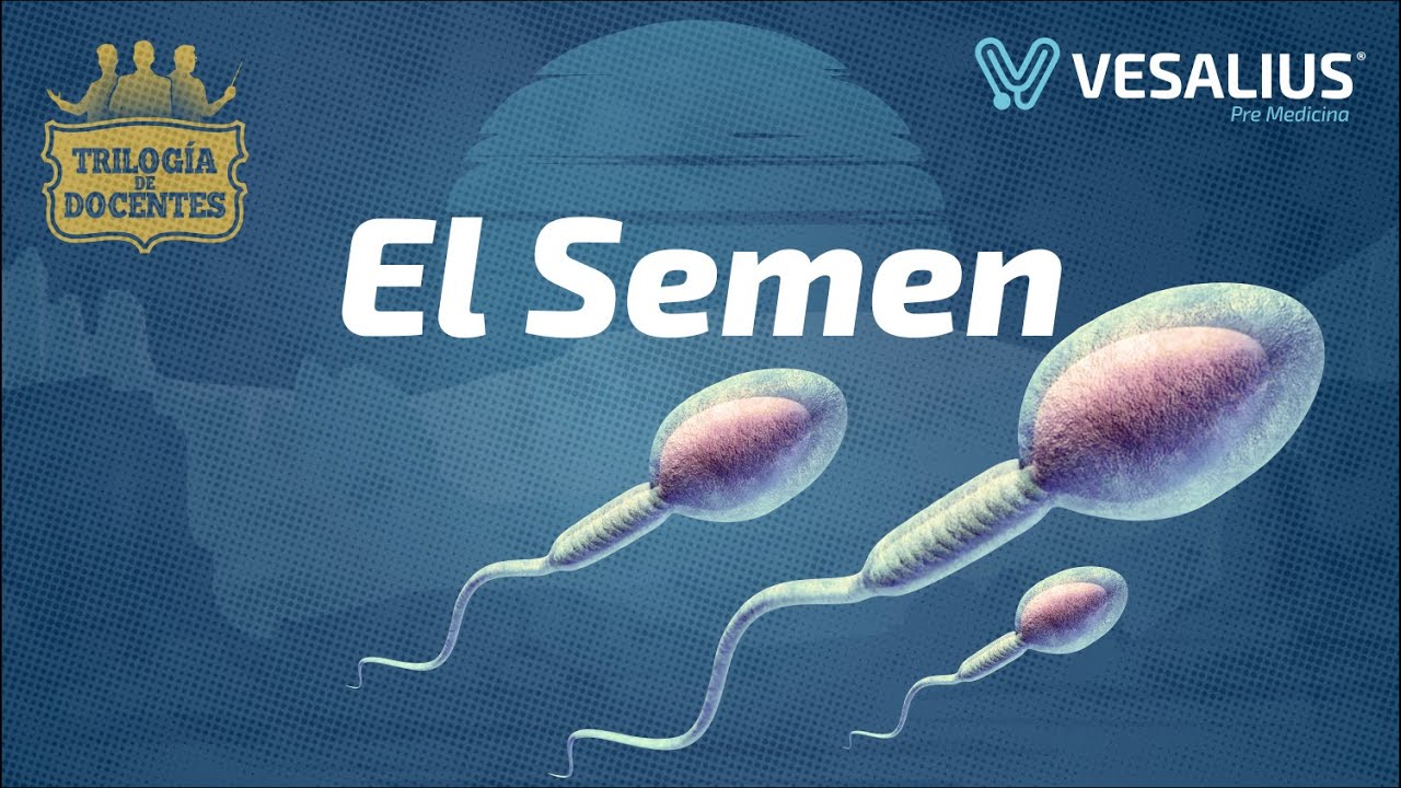 EL SEMEN