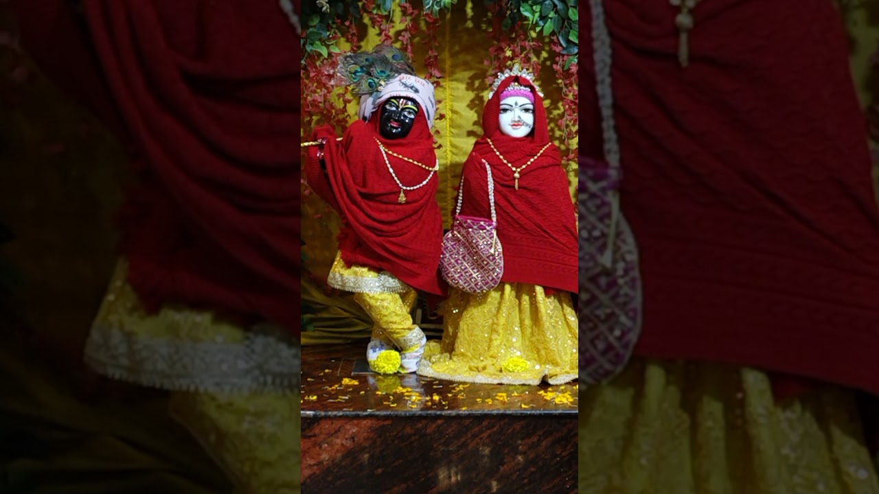 praan priye radha raman❤️ 