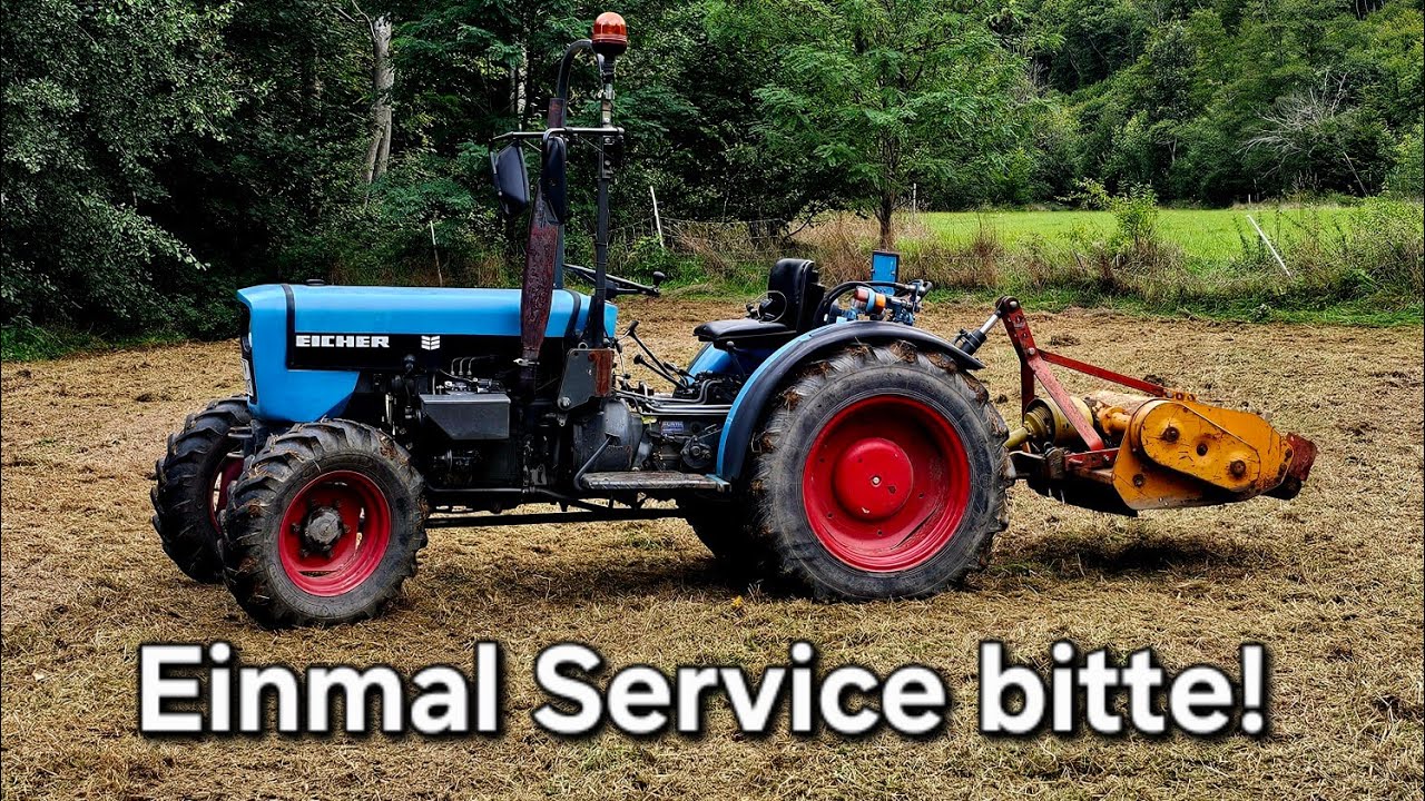 Eicher AS 542 Komplettservice + Tacho & Tankgeber Reparatur | Wiese Mulchen 🌱