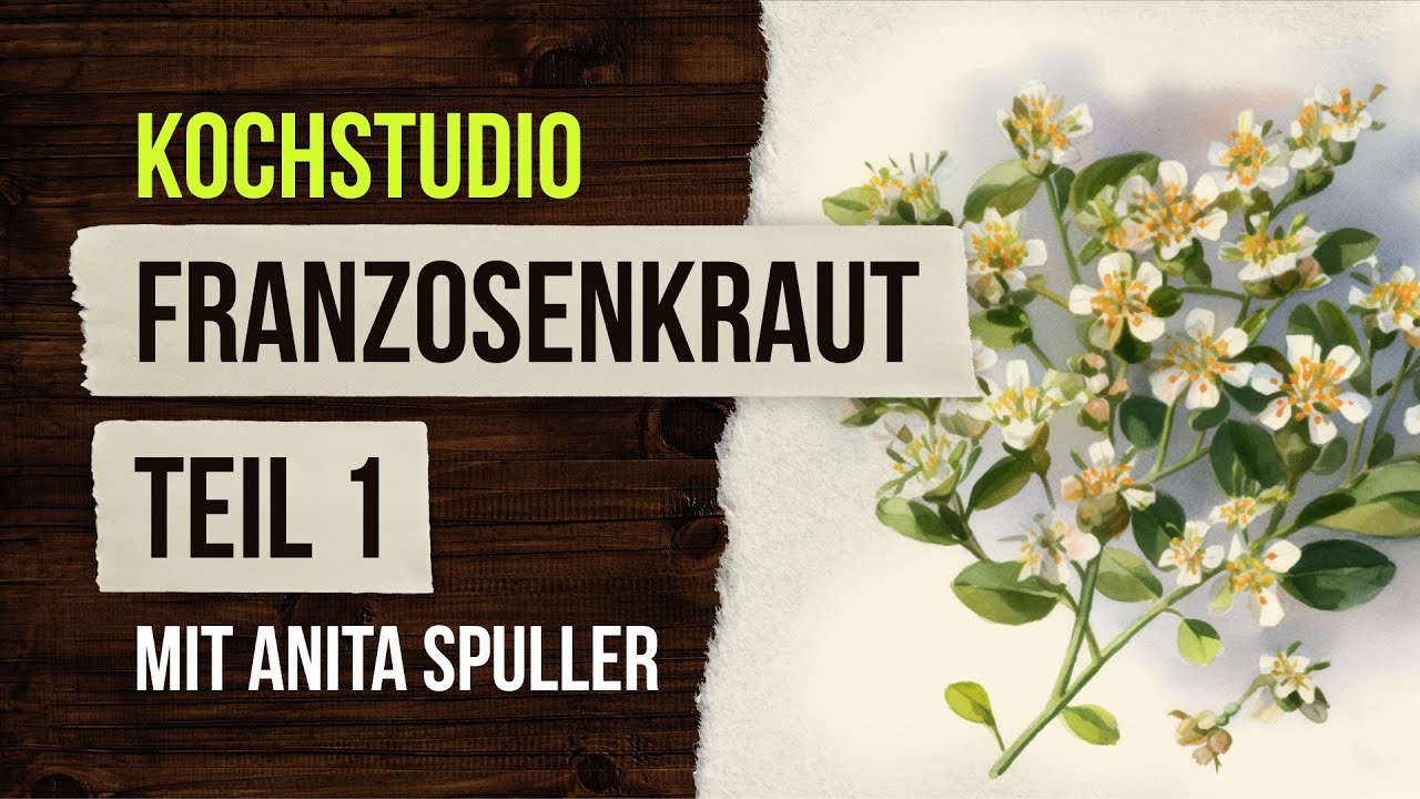 13. Franzosenkraut Teil 1 # Anita Spuller # Kräuter - Von der Wiese auf den Tisch