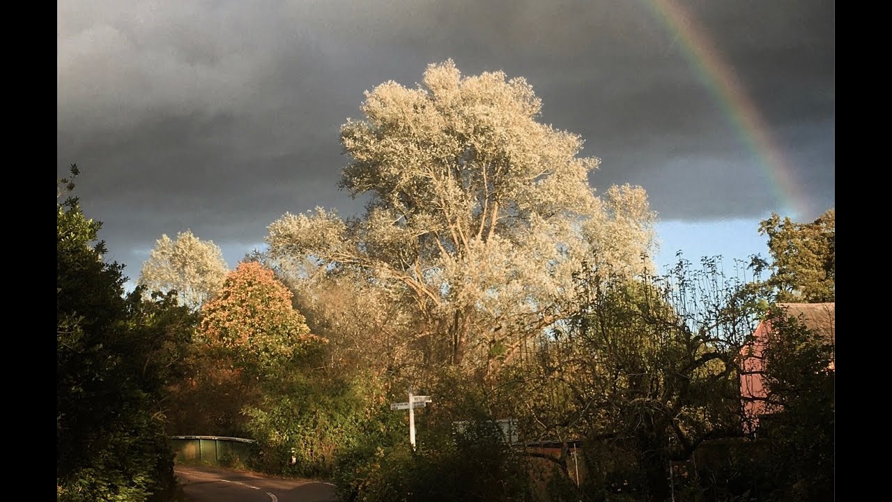 Boxted Bridge: Introduction to it's setting in the Dedham Vale National Landscape