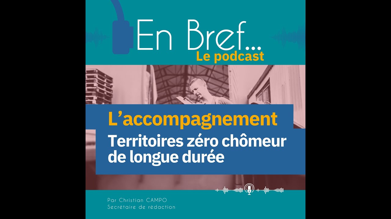 Territoires zéro chômeur de longue durée :  quand l’innovation sociale se heurte aux contraintes éco