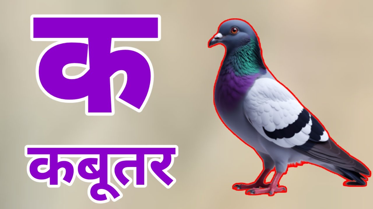 क से कबूतर k se kabutar अ से अनार a se aanar k se kabutar hindi varnmala Abcdक से कबूतर अ से अनार 23