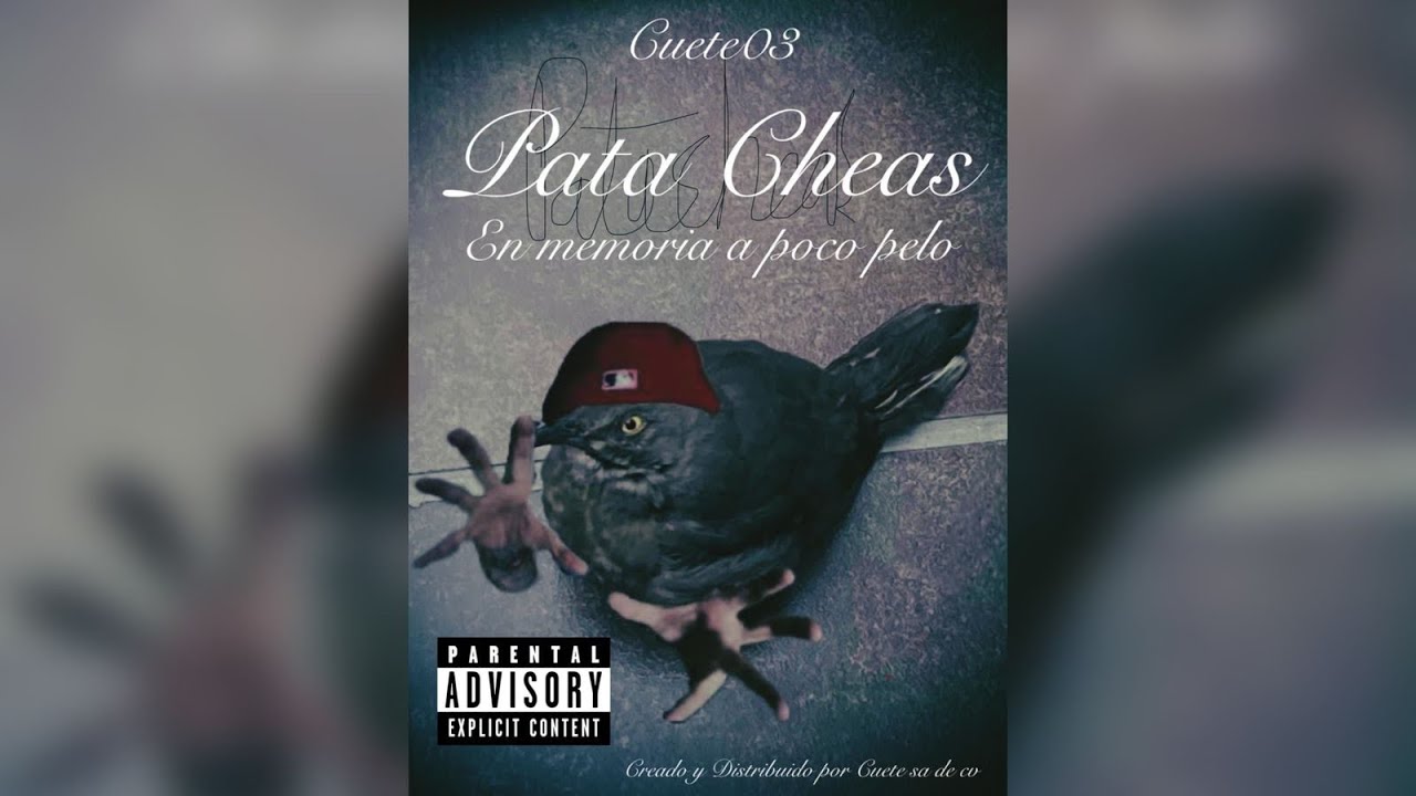 Poco Pelo 