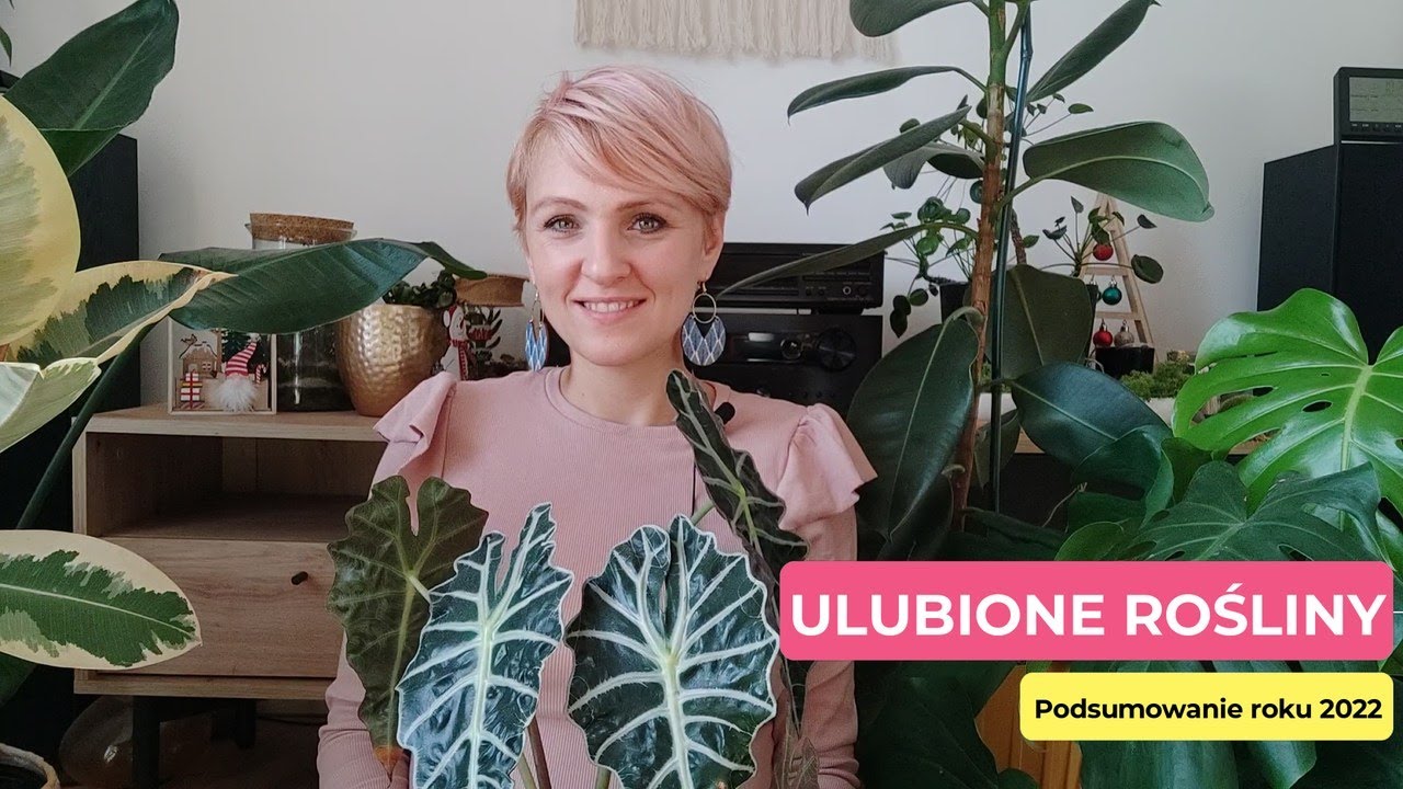 Ulubione rośliny 2022 roku | Roślinne zaskoczenia | Roślinne podsumowanie roku 2022 || PIPILOTKA