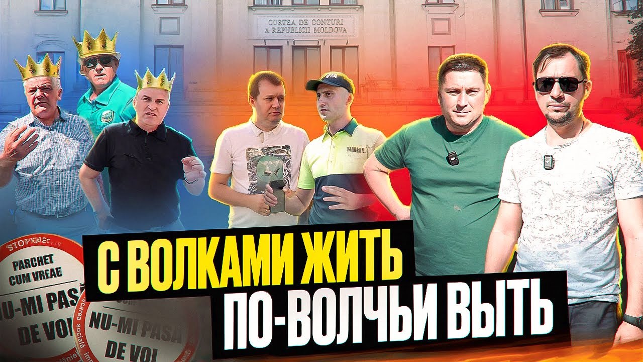 С волками жить — по-волчьи выть!🐺 | Curtea de Conturi. Часть 2