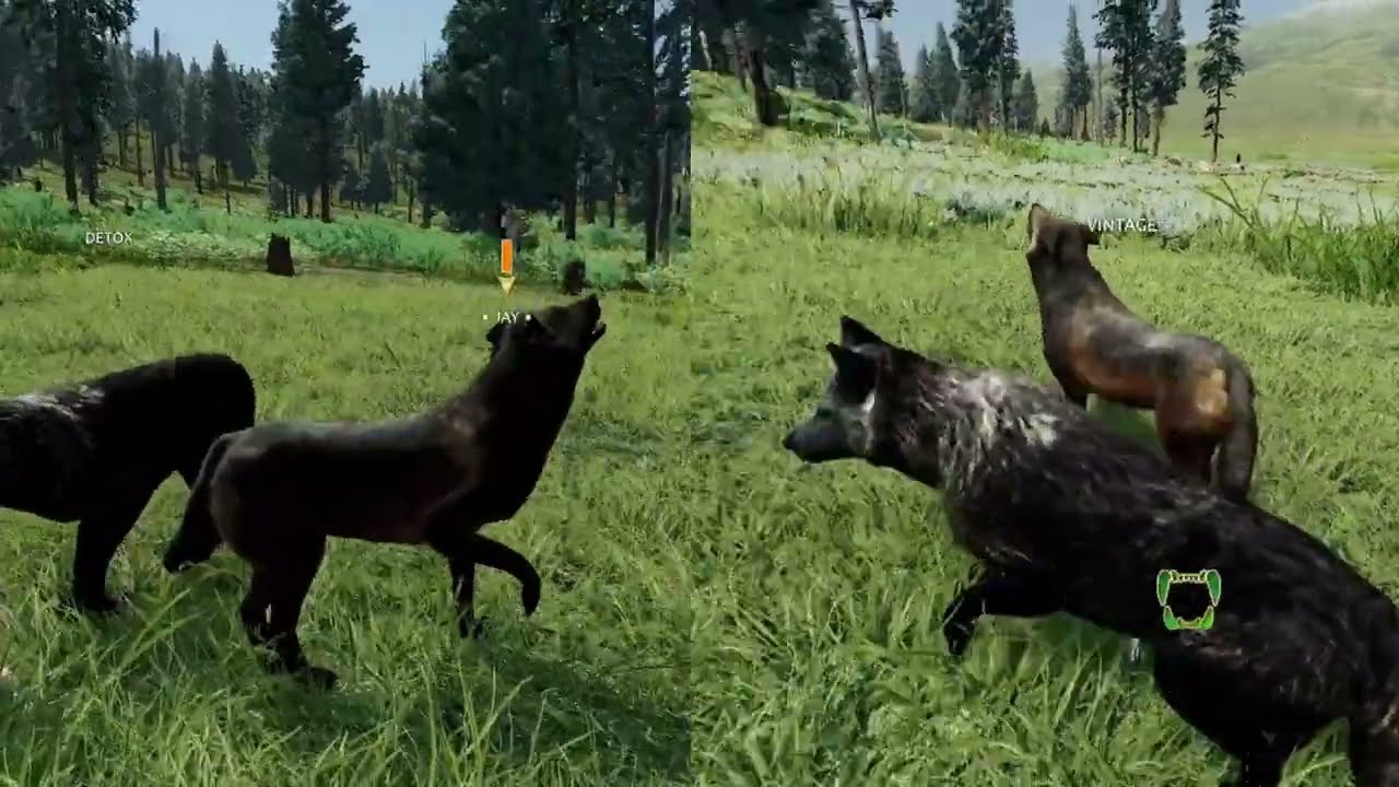 WOLFQUEST'S BEST: VINTAGE AND DETOX - EP. 1#wolflife,#gamers,#collaboration,#wolfquest