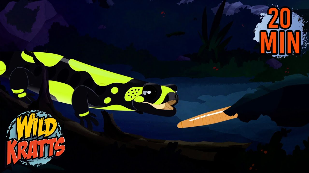 Fire Salamander Food Survival Instincts | Creature Facts | Wild Kratts
