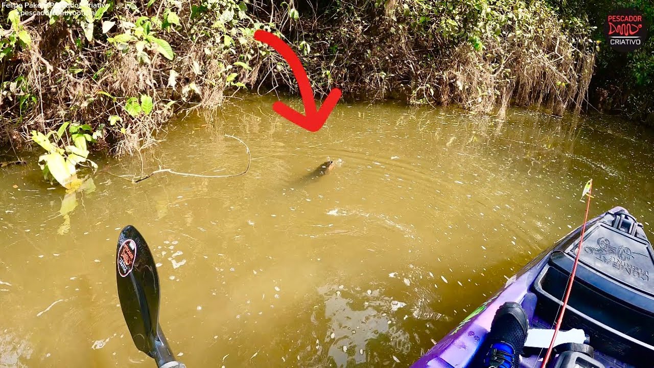 BICHO FEIO NA ENTRADA DO IGARAPÉ😱Lá dentro vi coisa pior…
