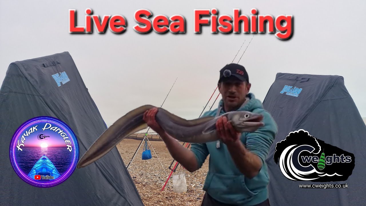 KayakDangler's Fishing Adventures  Sea Fishing, #fishing #viralvideo #viral