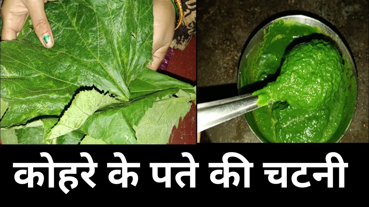 कोहरा के पत्तों की चटनी/Pumpkin Leaves Chutney/ कोहरा के पत्तों की रेसिपी/ कद्दू के पत्तो की चटनी 