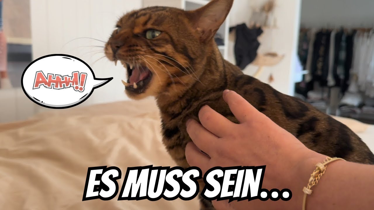 Bali bekommt seine Medizin.. es tut auch nicht weh 🥹