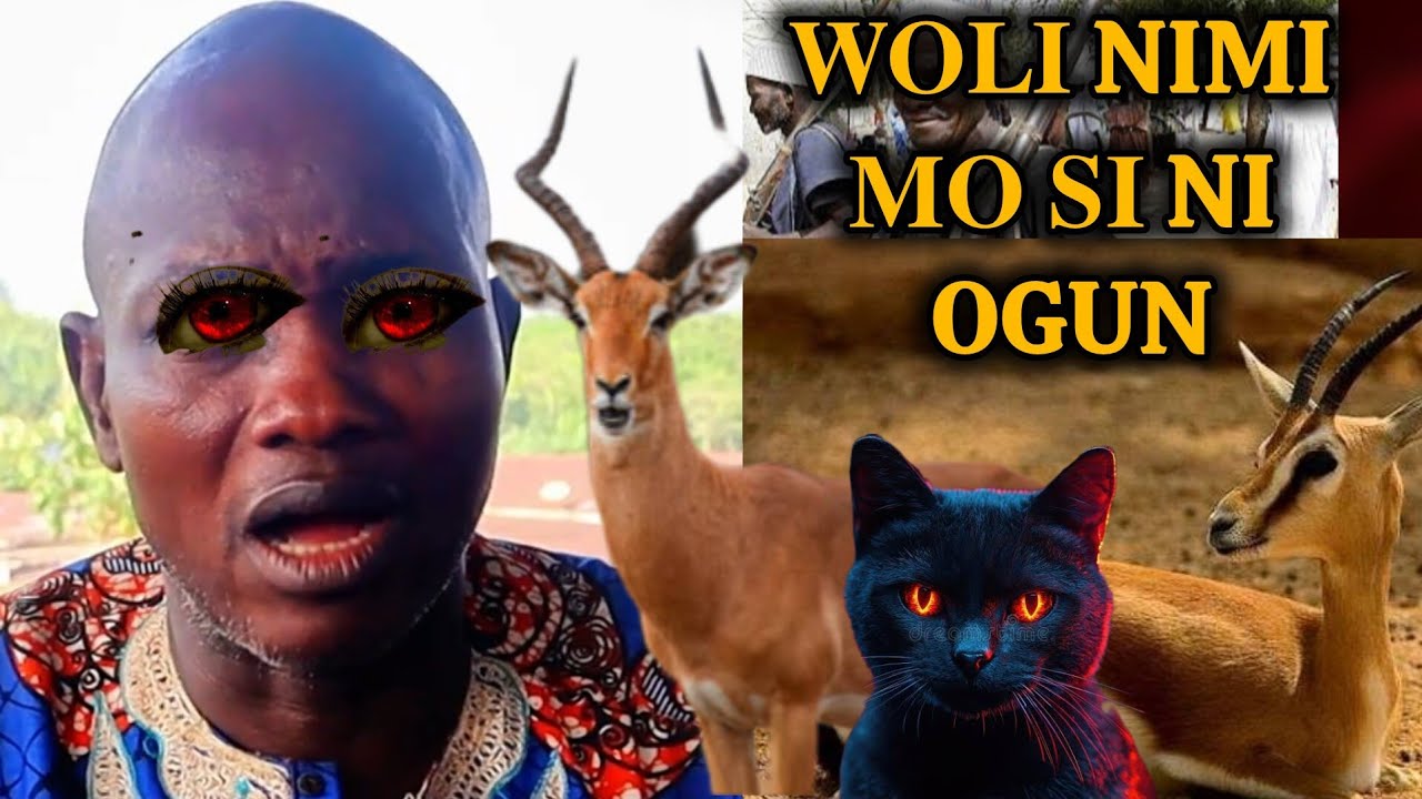 𝐎𝐆𝐁𝐎𝐉𝐔 𝐎𝐃𝐄 𝐀𝐏𝐄𝐋𝐔 WOLI 