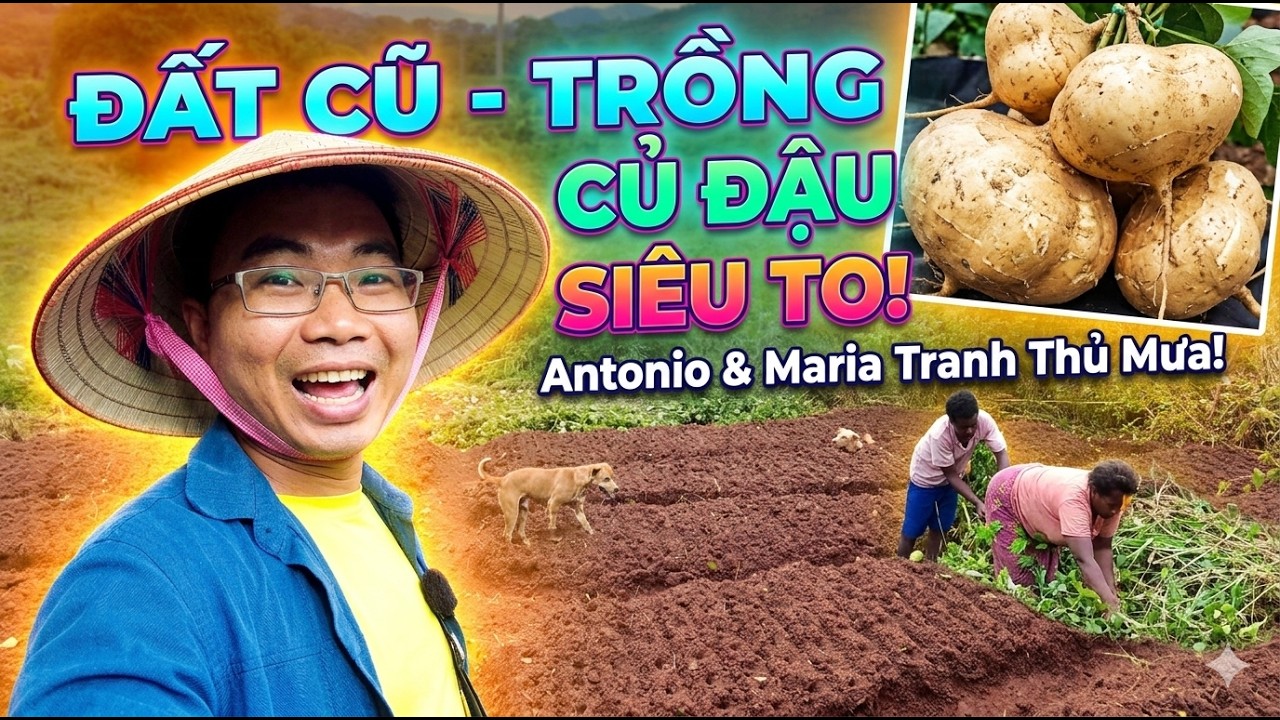 Thực hiện b&agrave;i to&aacute;n trồng củ đậu sao cho hiệu quả || 2Q Vlogs cuộc sống Ch&acirc;u Phi