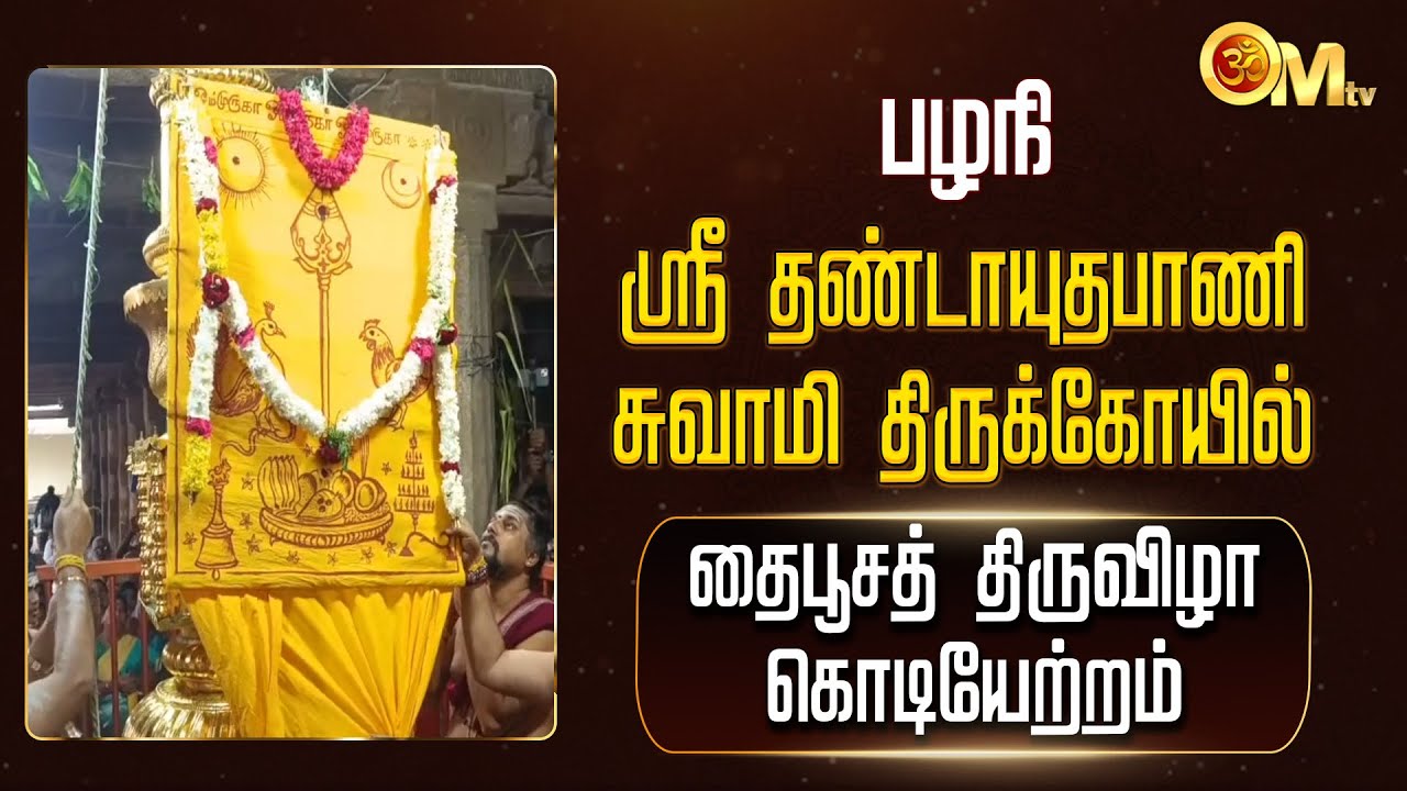 பழநி ஸ்ரீ தண்டாயுதபாணி சுவாமி திருக்கோயில் - தைபூசத் திருவிழா கொடியேற்றம் | Thai Poosam 2026 | OM TV