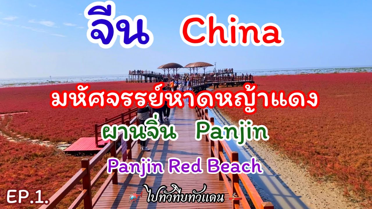 มหัศจรรย์หาดสีแดงแห่งลุ่มน้ำเหลียวเหอ Ep.1 หาดหญ้าแดงผานจิ่น #ชายแดน #จีน #เกาหลีเหนือ