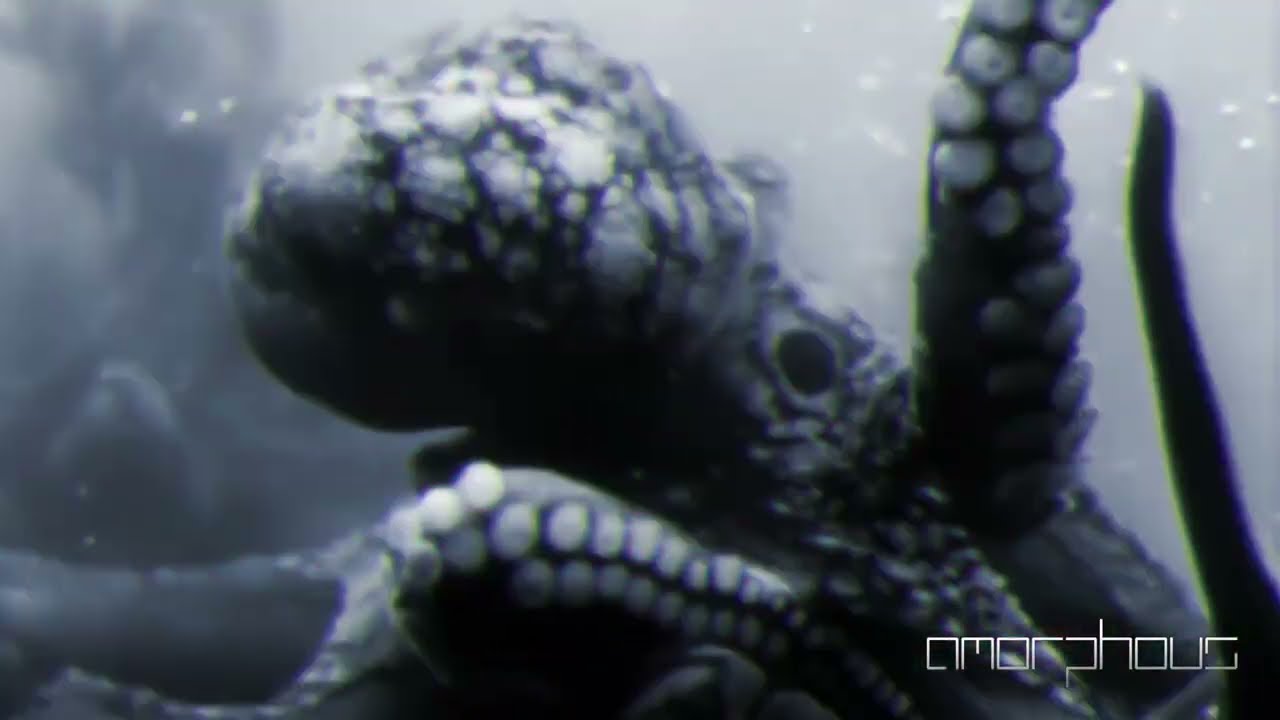 Amorphous - Unconditioned [Remix]