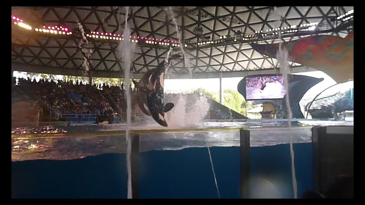 One Ocean - Sea World San Antonio, in the splash zone