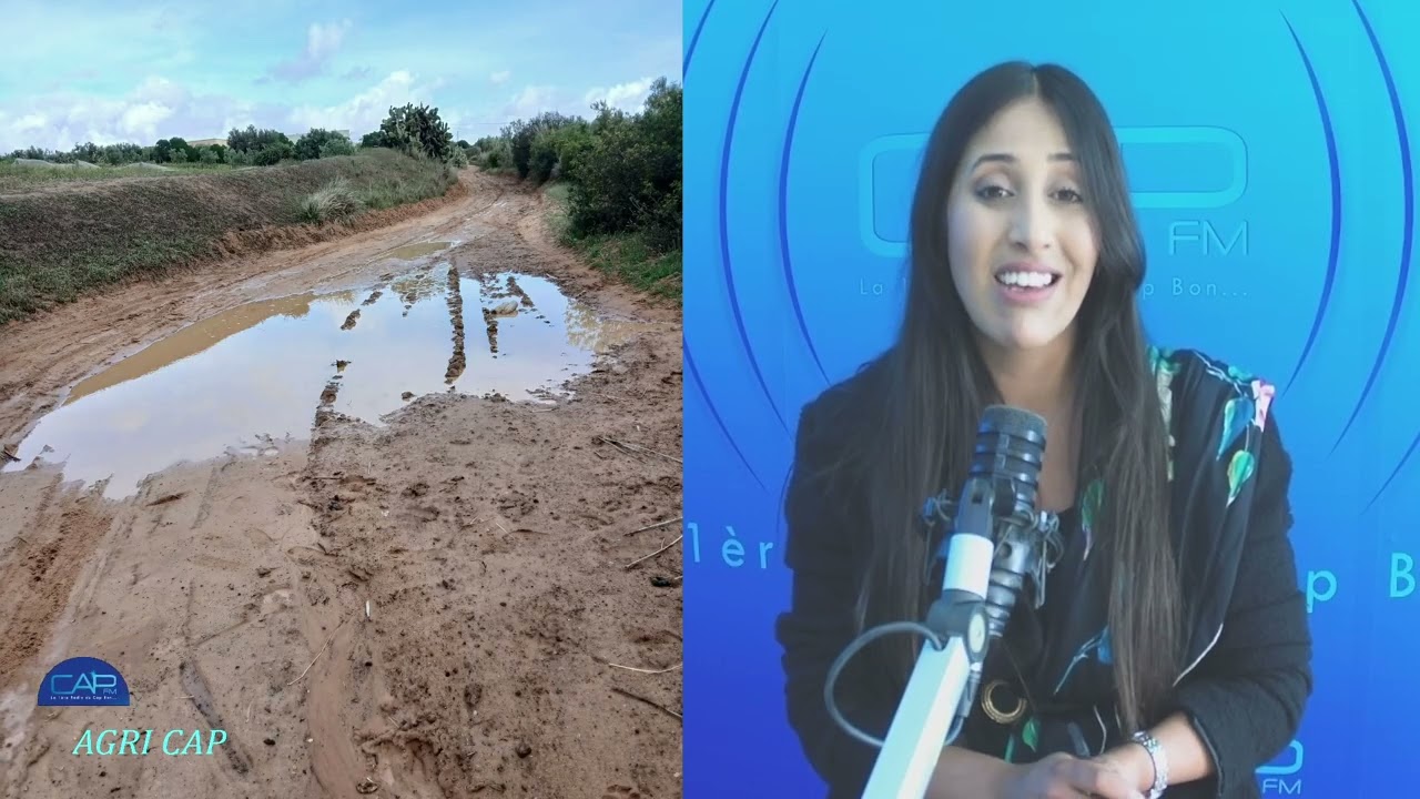 نداء استغاثة من متساكني منطقة الشرفين منزل بوزلفة  بخصوص المسلك الفلاحي الرومية 1 و 2  الطريق الرابط