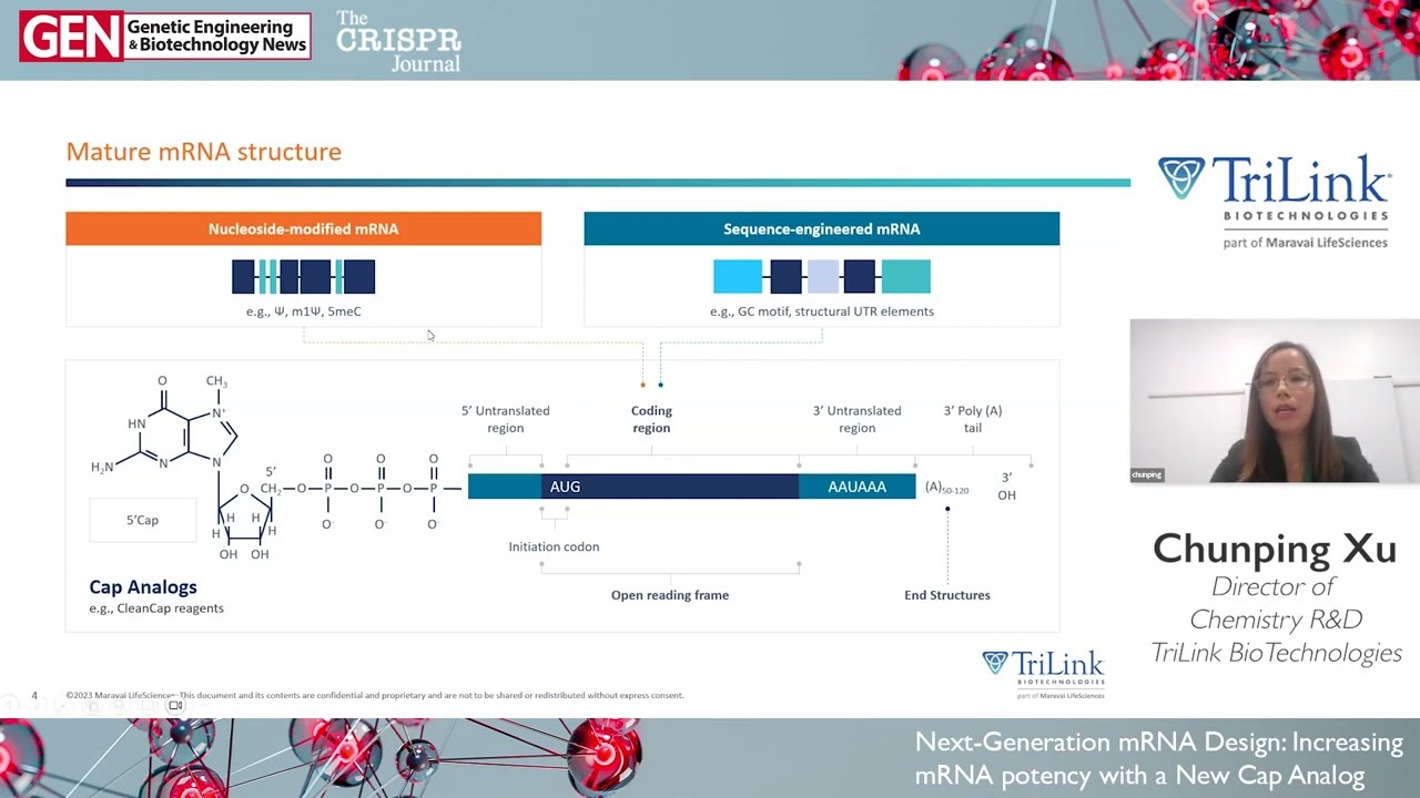 Next-Generation mRNA Design: Increasing mRNA potency with a New Cap Analog