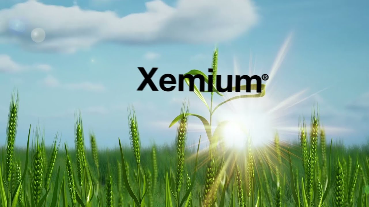 Xemium&reg; - Formula Activă &icirc;n Spațiu și Timp - BASF