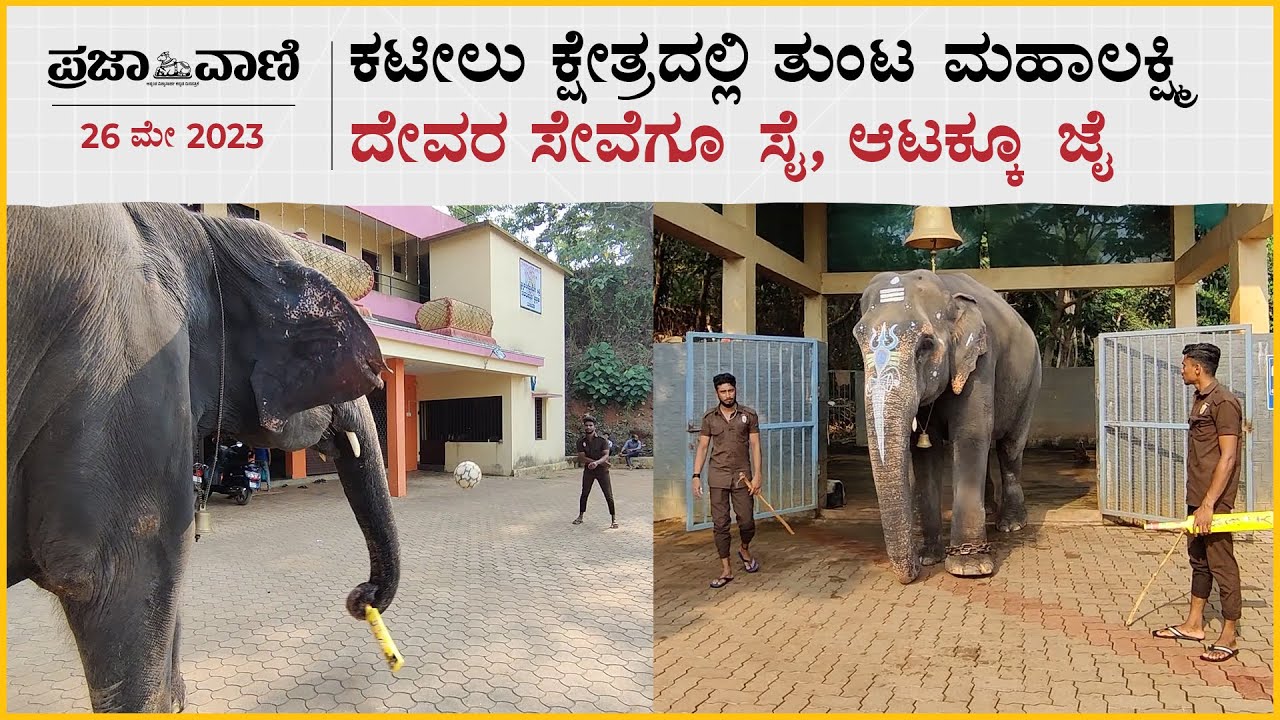 ಕಟೀಲು ಕ್ಷೇತ್ರದಲ್ಲಿ ತುಂಟ ಮಹಾಲಕ್ಷ್ಮಿ: ದೇವರ ಸೇವೆಗೂ ಸೈ, ಆಟಕ್ಕೂ ಜೈ | Kateelu Durgaparameshwari |