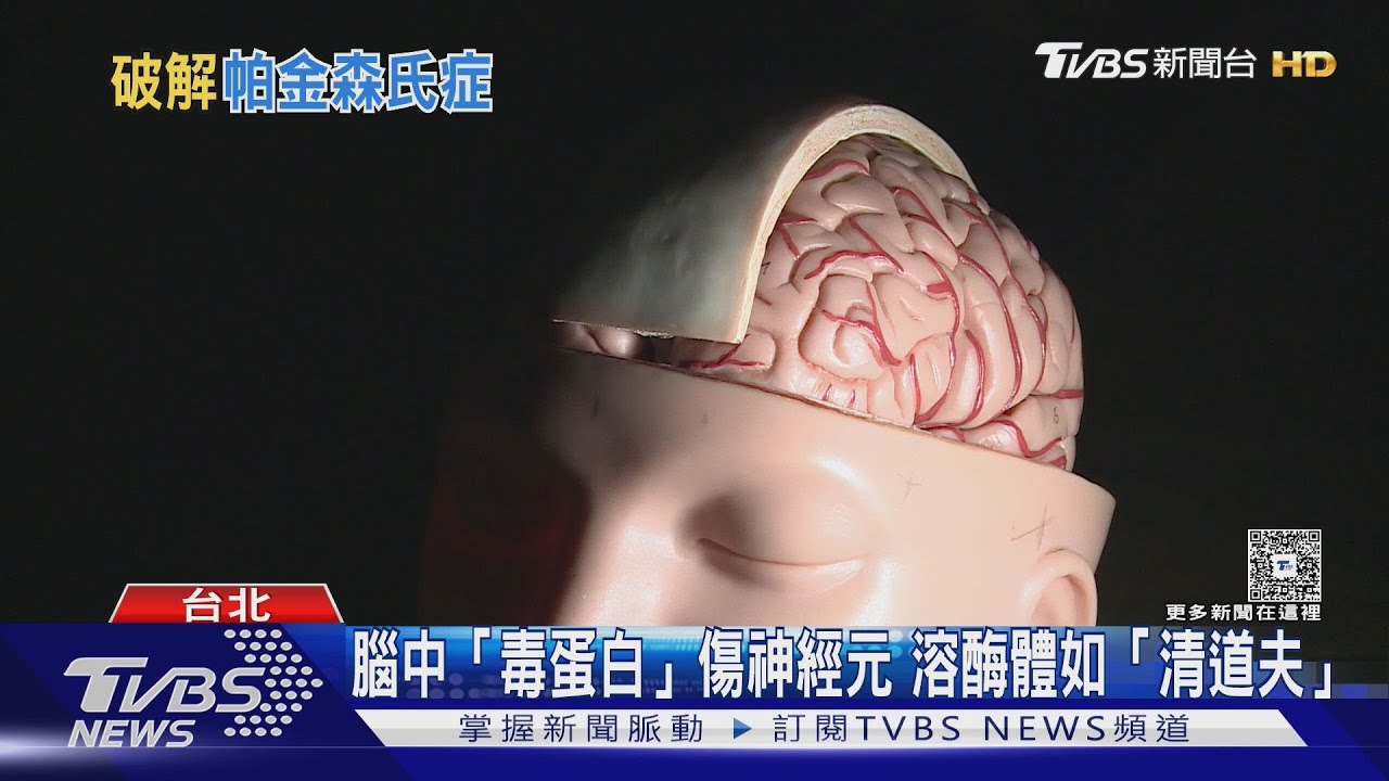 破解失智症毒蛋白之謎! 陽交大研究登國際期刊｜十點不一樣20250731 @TVBSNEWS01