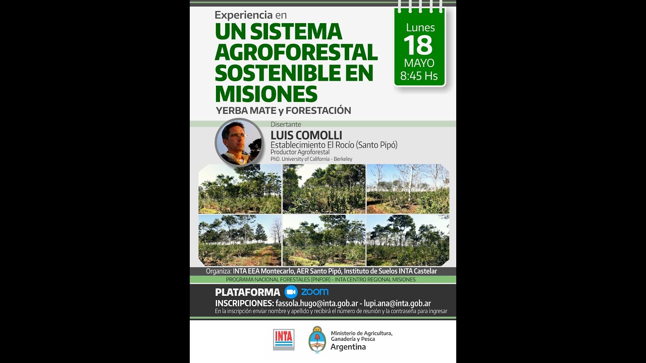 Un sistema agroforestal sustentable en Misiones